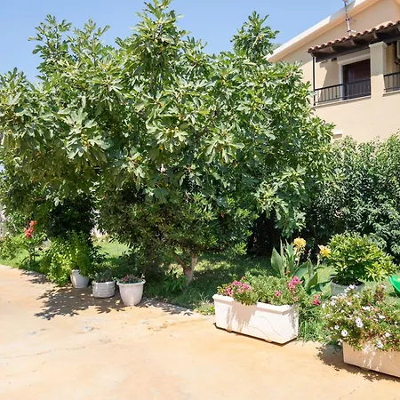 Lollas Acharavi Corfu אצ'ארבי